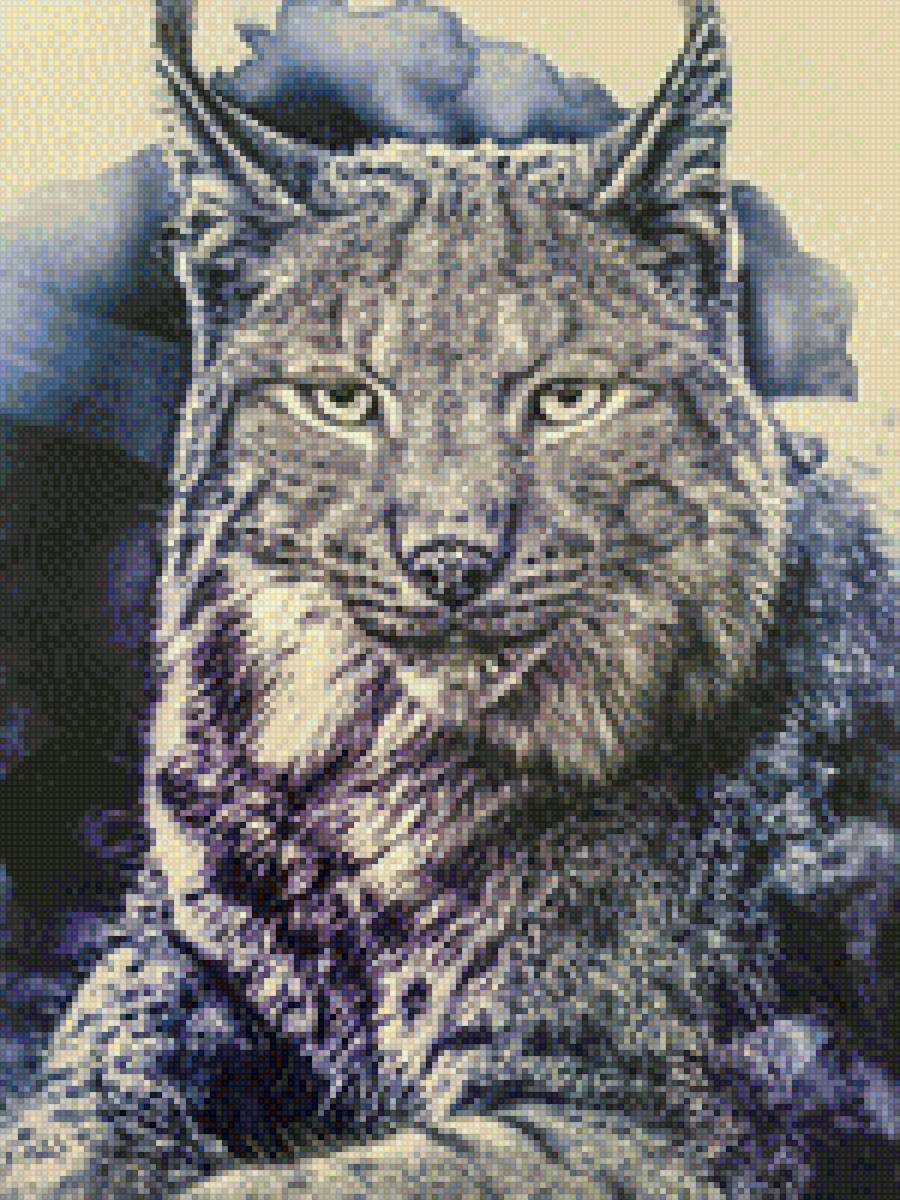 Рысь - рысь, животные - предпросмотр