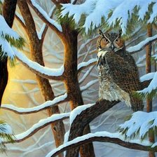 в зимнем лесу