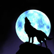 Схема вышивки «волк 2»