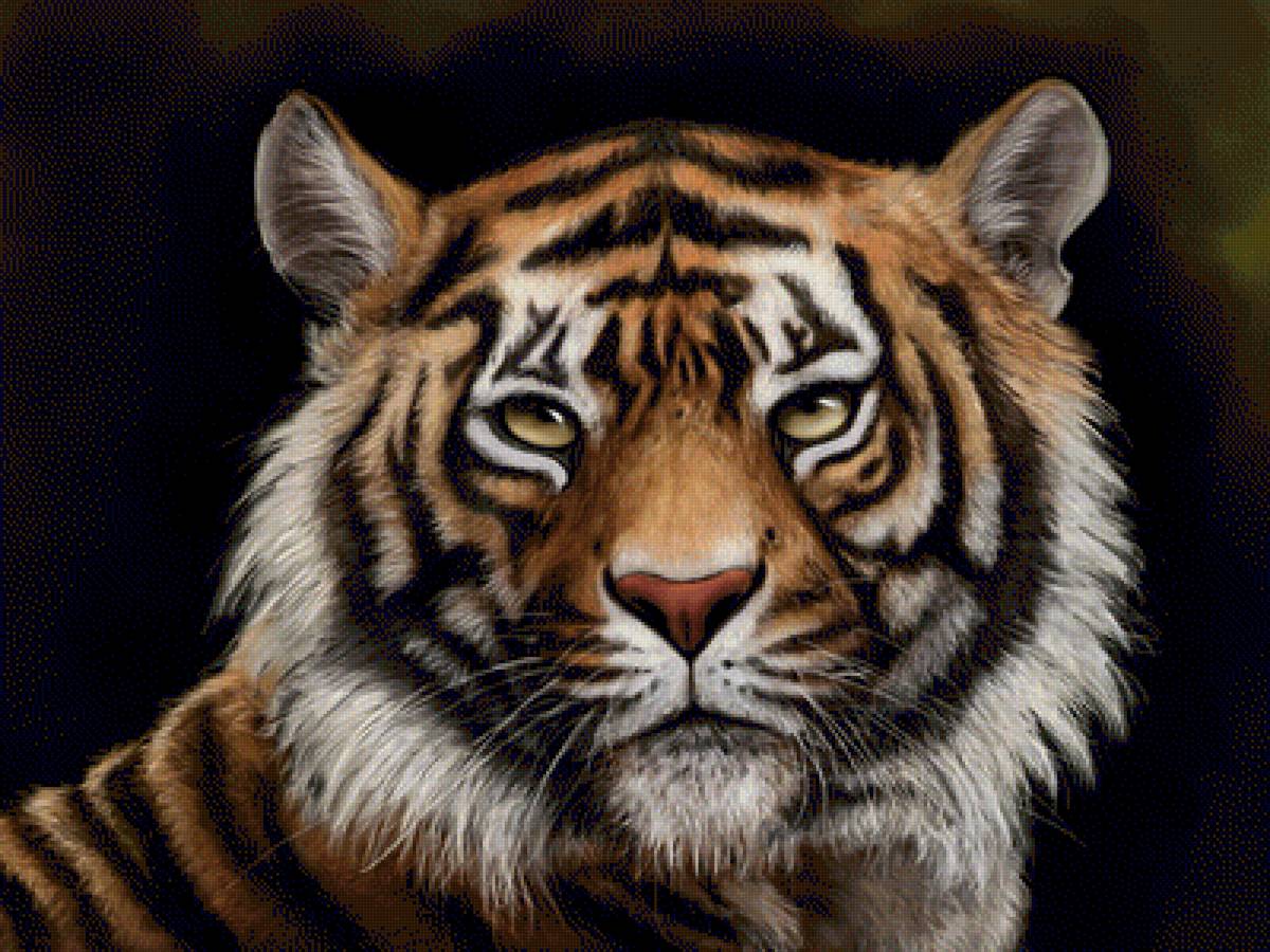 Тигр - животные, тигр - предпросмотр