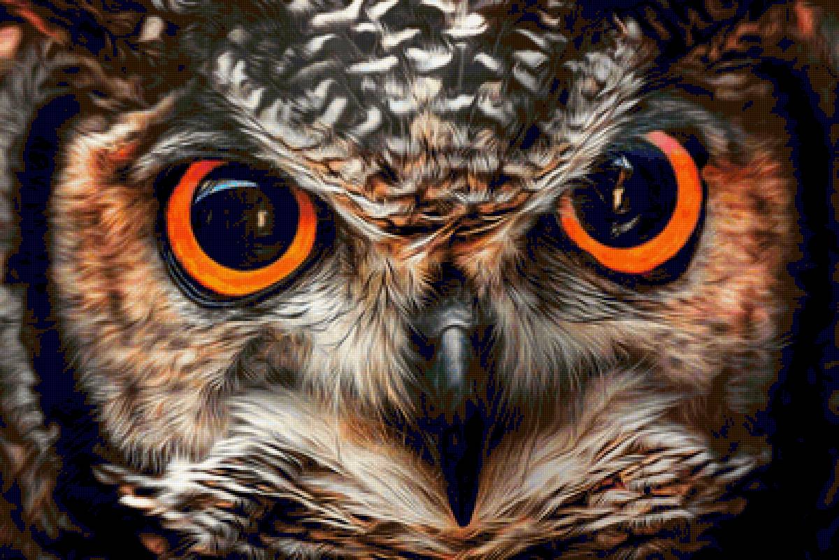 Совенок - глаза, сова, животные - предпросмотр