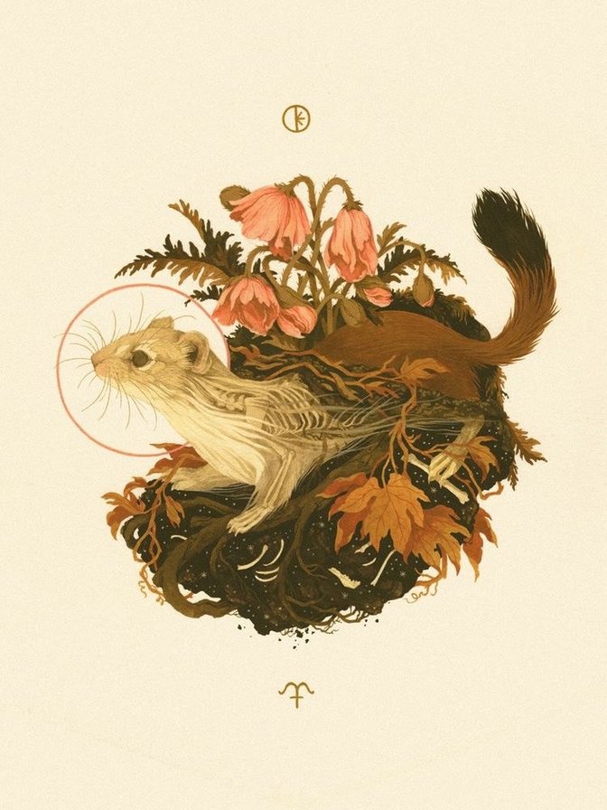 343434 - винтаж, ласка, маки - оригинал