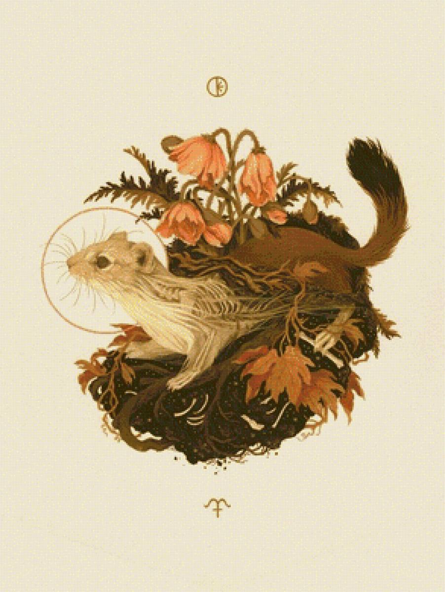 343434 - маки, винтаж, ласка - предпросмотр