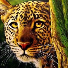 Схема вышивки «Леопард»