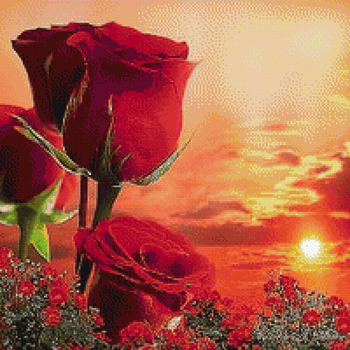 Розовый закат - закат, розы - предпросмотр