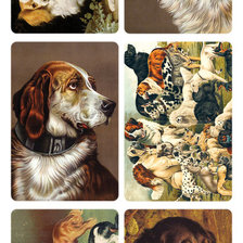 Схема вышивки «Sobaki»