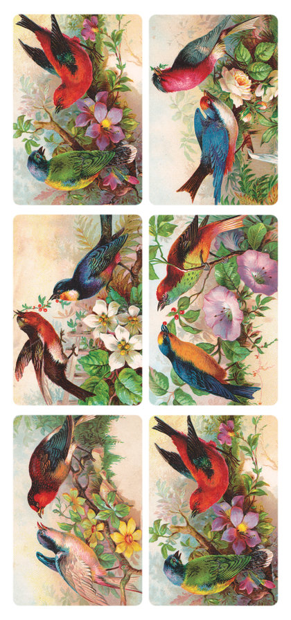 Ptici - оригинал