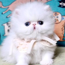 Схема вышивки «88»