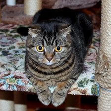 Схема вышивки «89»