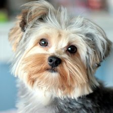 Схема вышивки «94»