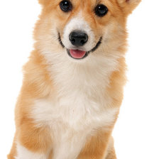 Схема вышивки «97»