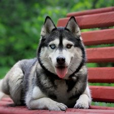 Схема вышивки «98»