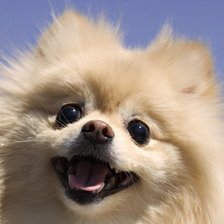 Схема вышивки «№1651588»