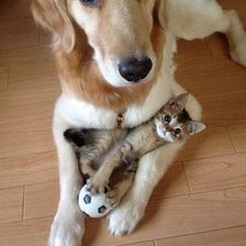 Схема вышивки «106»