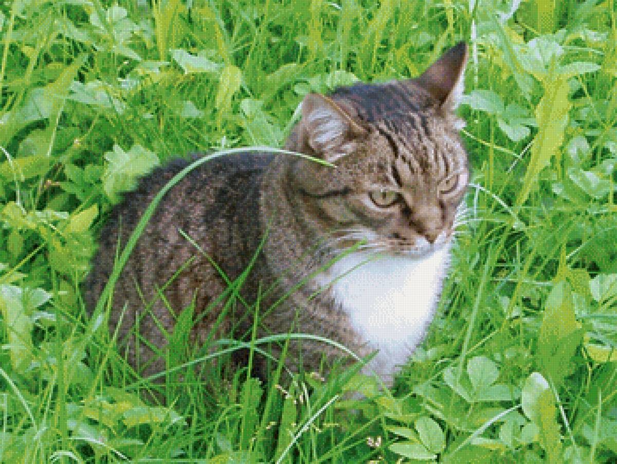 108 - предпросмотр