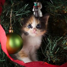 Схема вышивки «117»