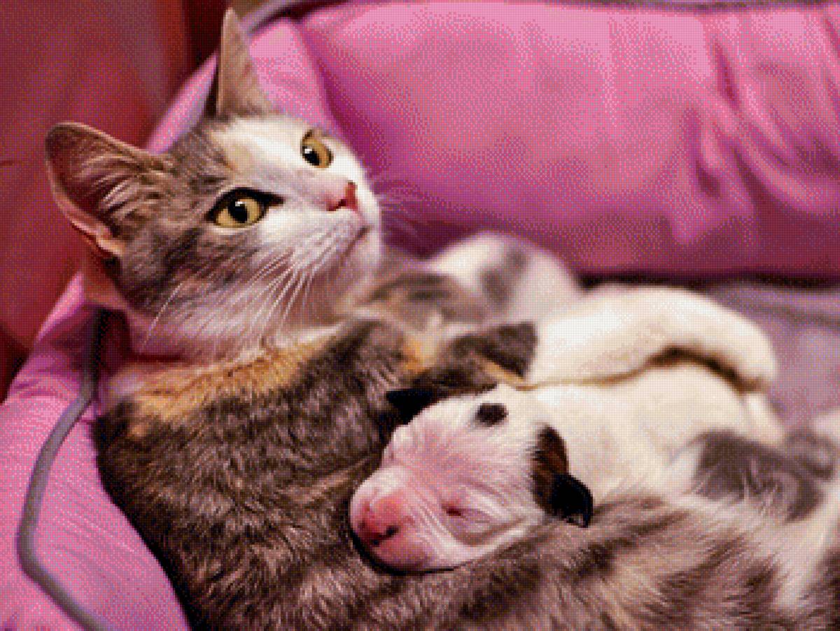 118 - предпросмотр