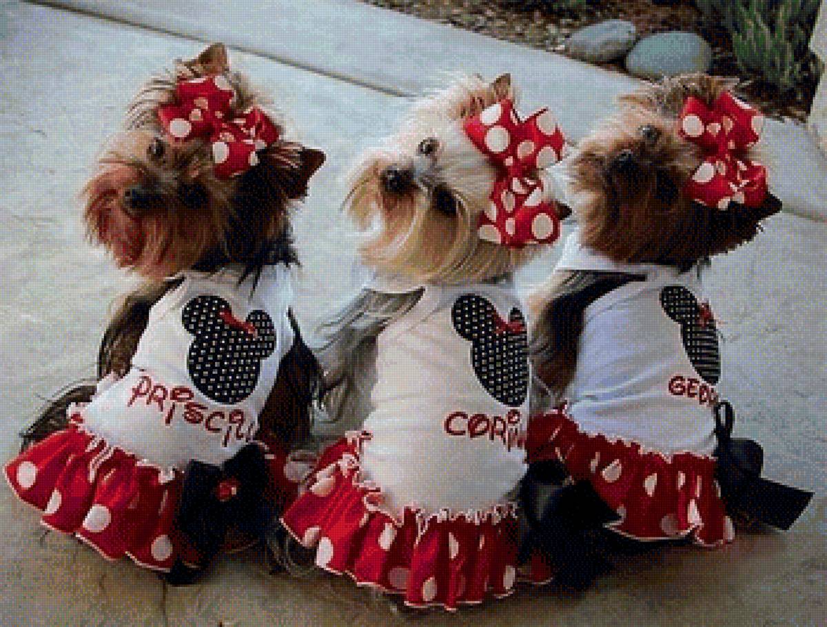 126 - предпросмотр