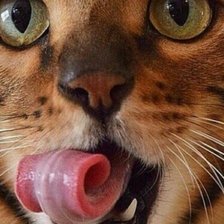 Схема вышивки «129»