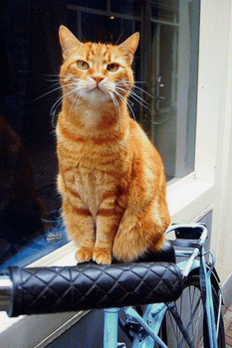 131 - предпросмотр