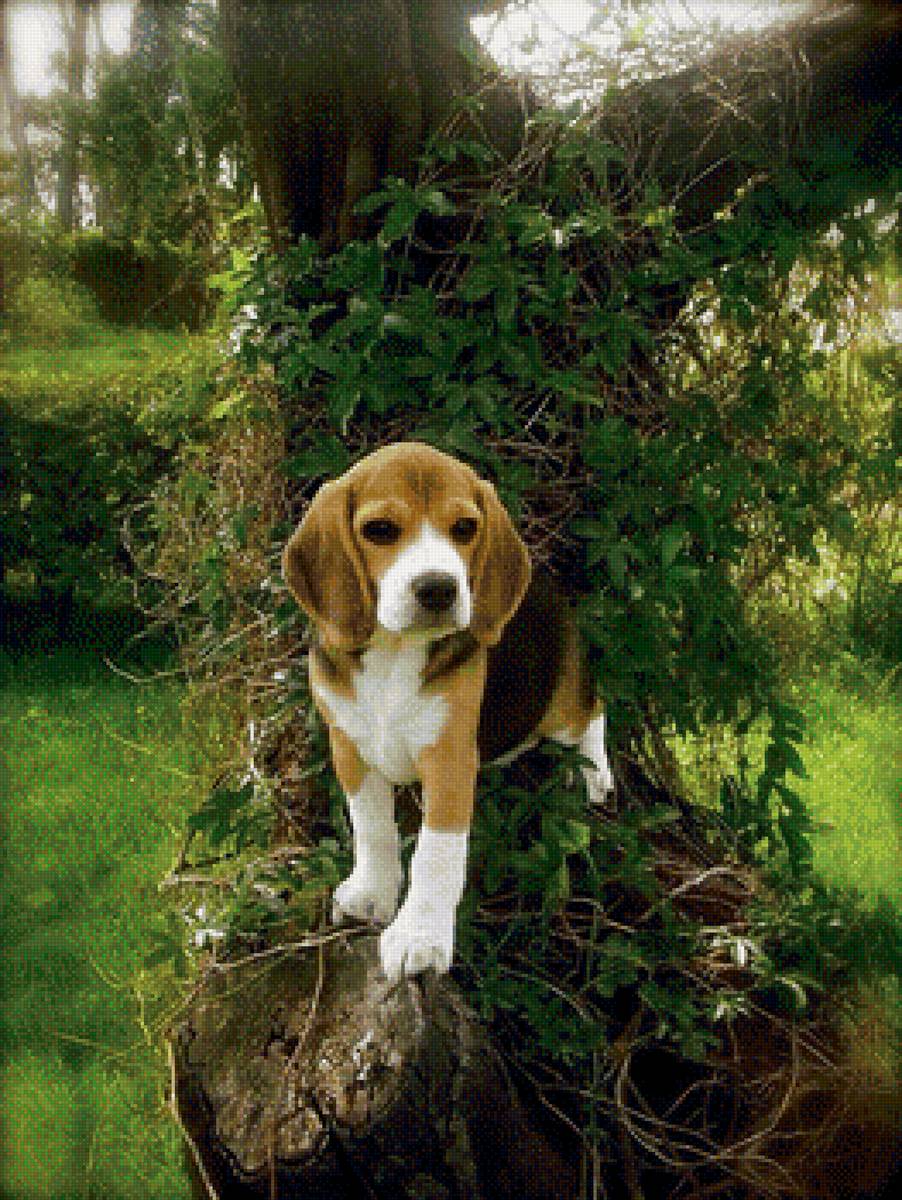 147 - предпросмотр