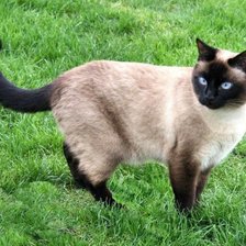 Схема вышивки «149»