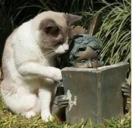 150 - оригинал