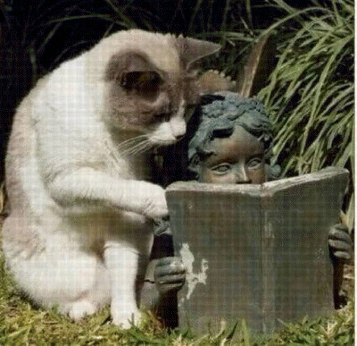 150 - предпросмотр