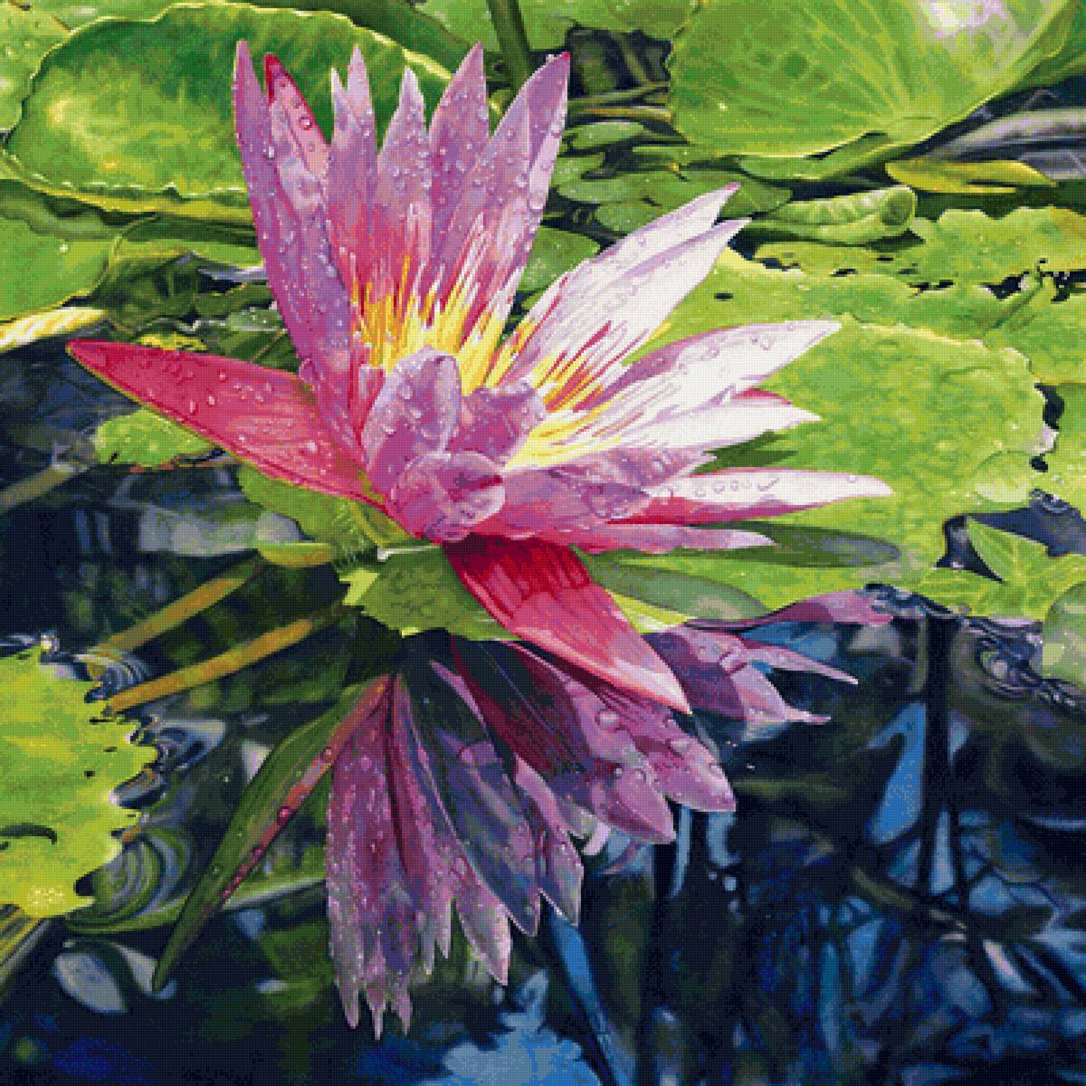 №1651764 - предпросмотр