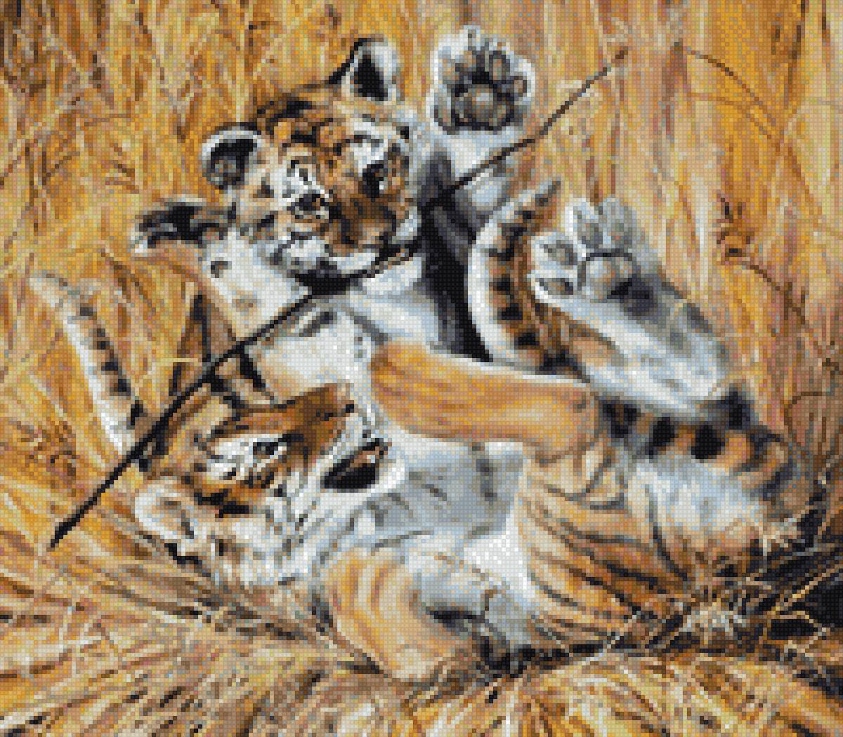 тигрята - тигрята - предпросмотр