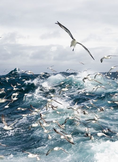 МОРСКОЕ ОЧАРОВАНИЕ - морское очарование, пейзаж, природа, вода - оригинал