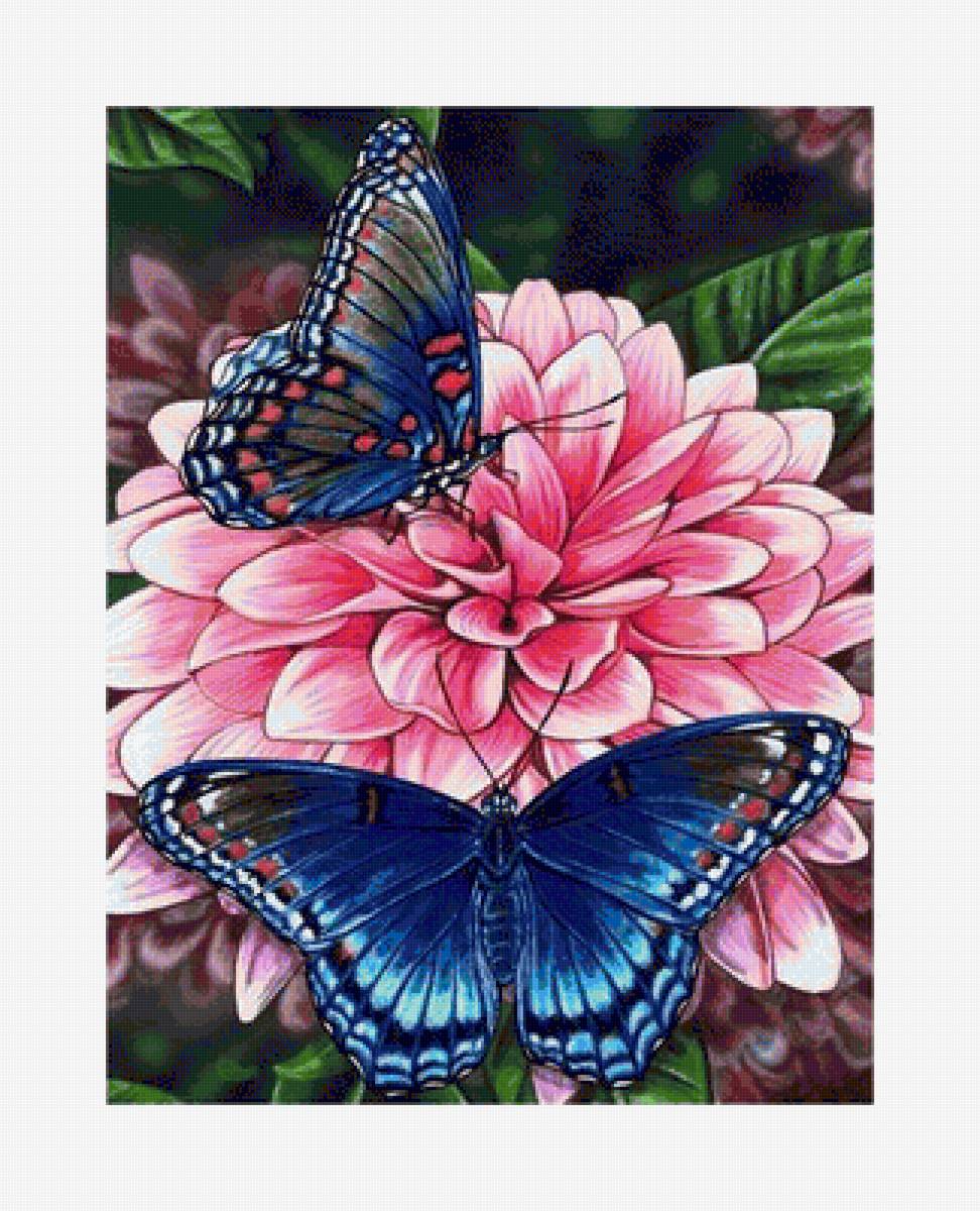 №1652416 - предпросмотр