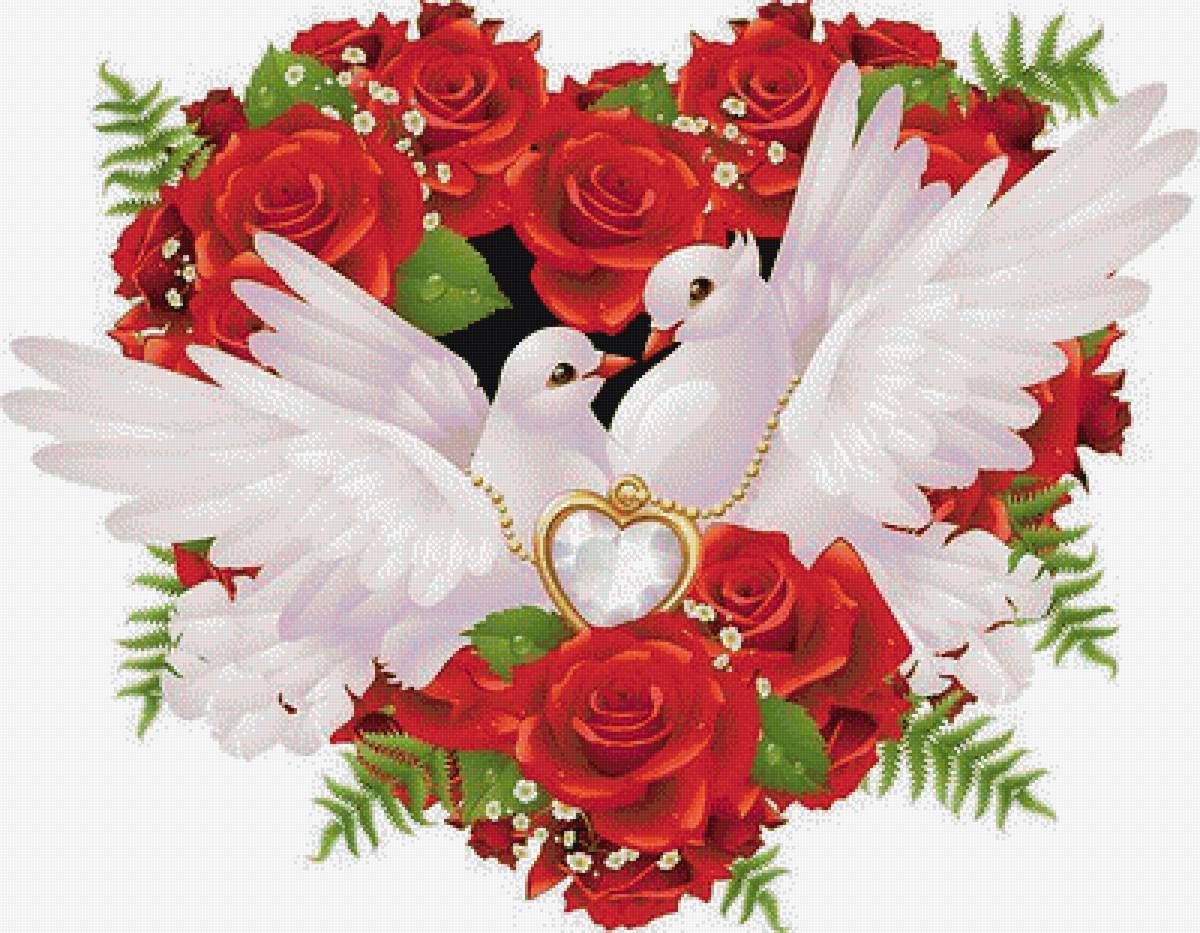 Голубки - розы, голуби, кольца, сердце, свадьба - предпросмотр