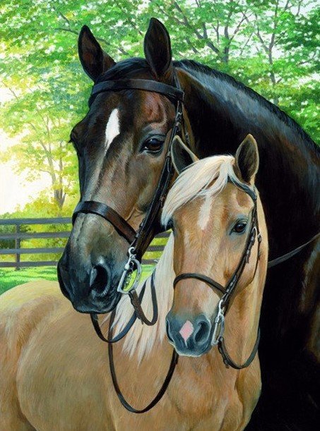 пара лошадей - природа, лошади - оригинал