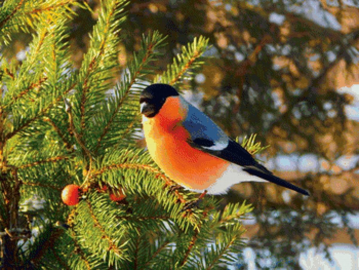 156 - предпросмотр