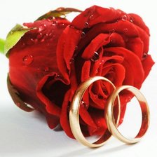 Схема вышивки «Обручальные кольца с розой»