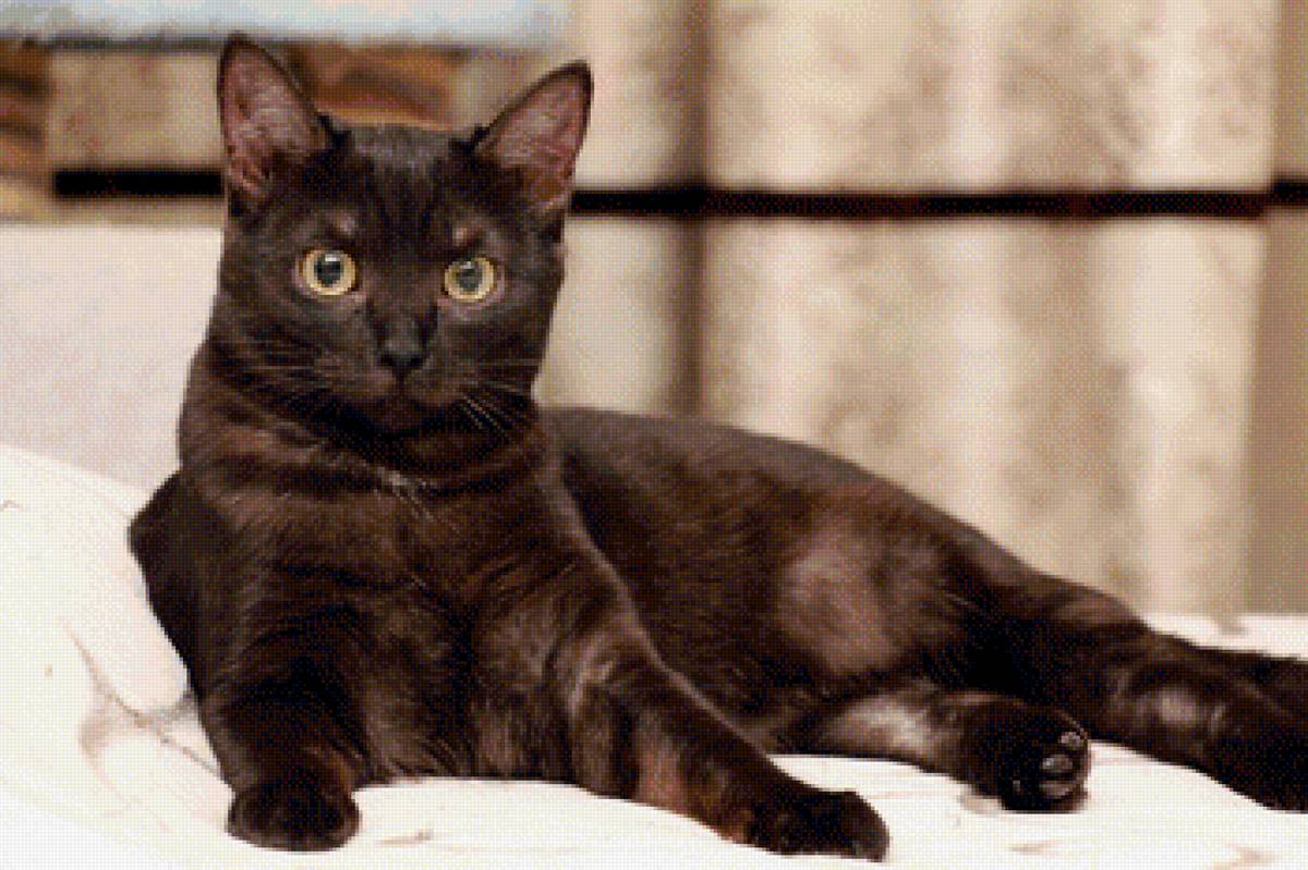 157 - предпросмотр