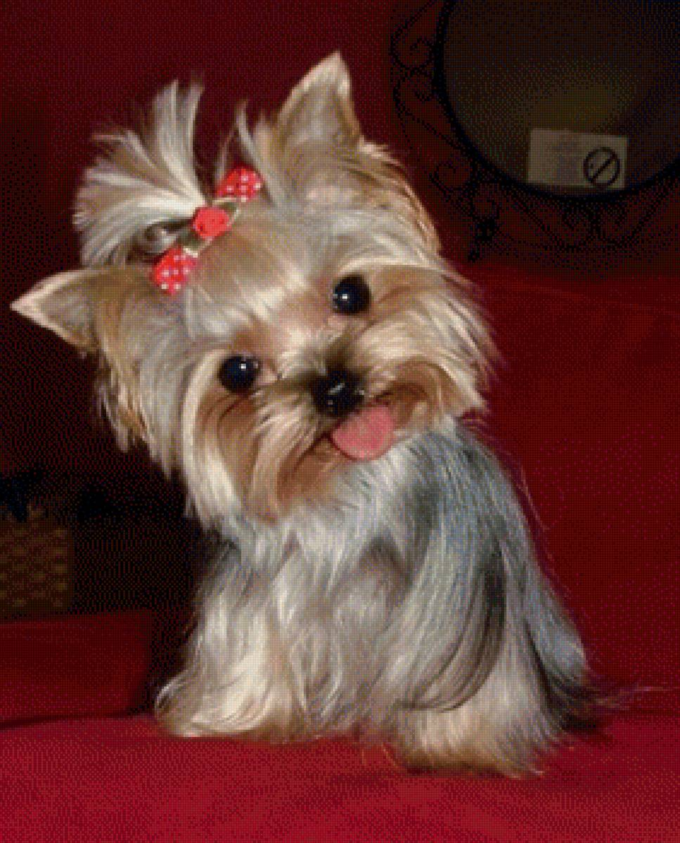 159 - предпросмотр