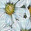 Предпросмотр схемы вышивки «Ромашки в корзине» (№1653199)