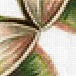 Предпросмотр схемы вышивки «№1653218»
