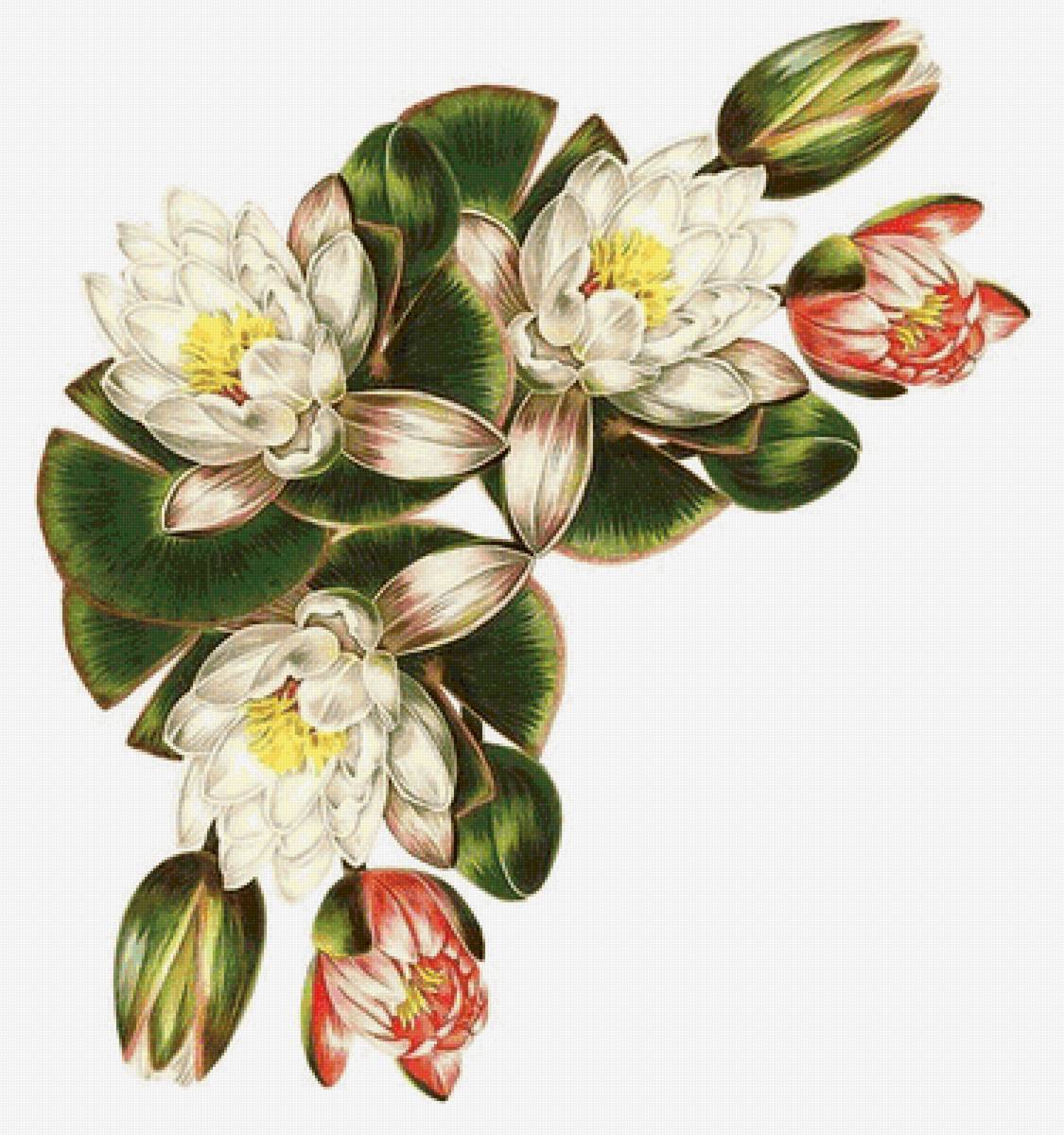 №1653218 - предпросмотр