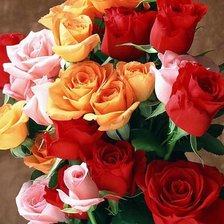 Схема вышивки «160»