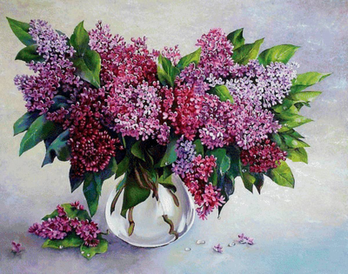 сиреневое чудо - весенние цветы, сирень, белые цветы, лиловые цветы, букет - предпросмотр