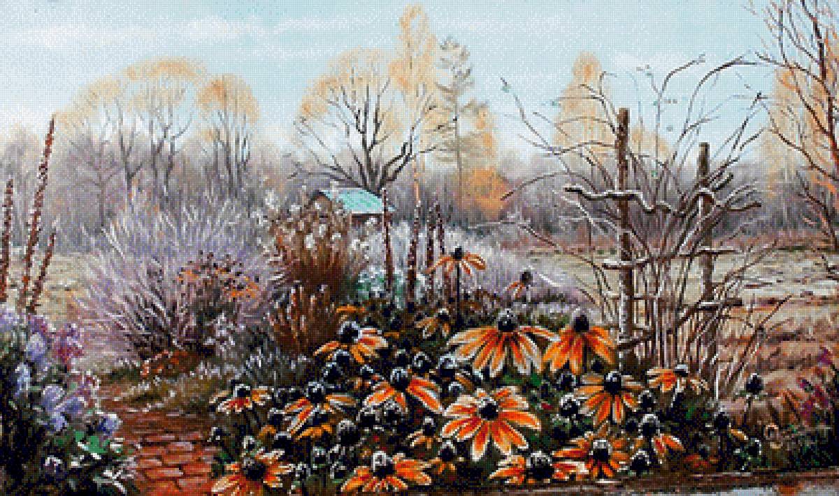 Поздние цветы - иней, осень, цветы - предпросмотр