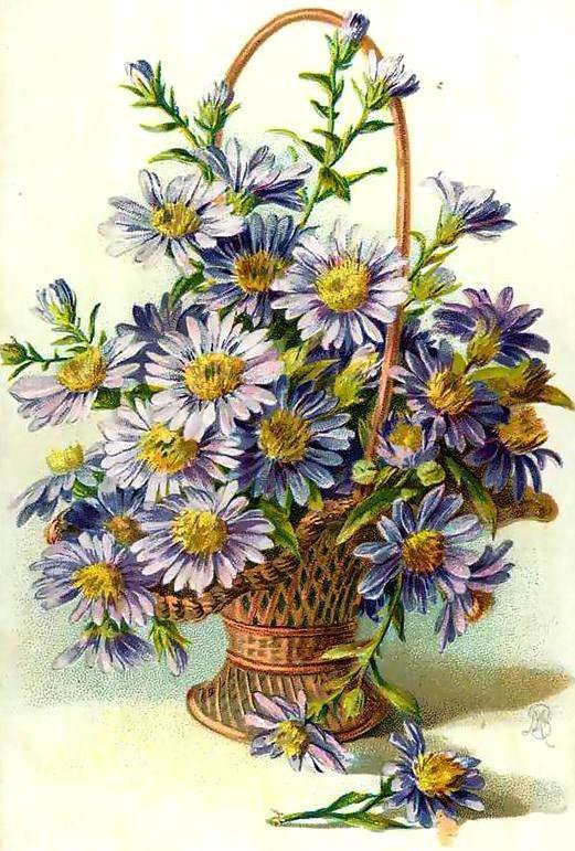 ромашки в корзине - оригинал