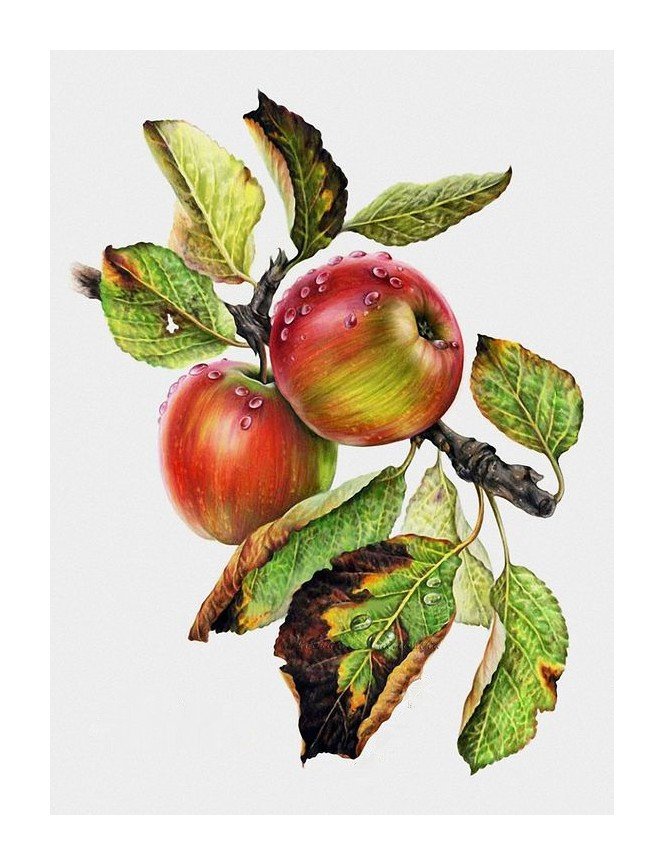 №1654171 - оригинал