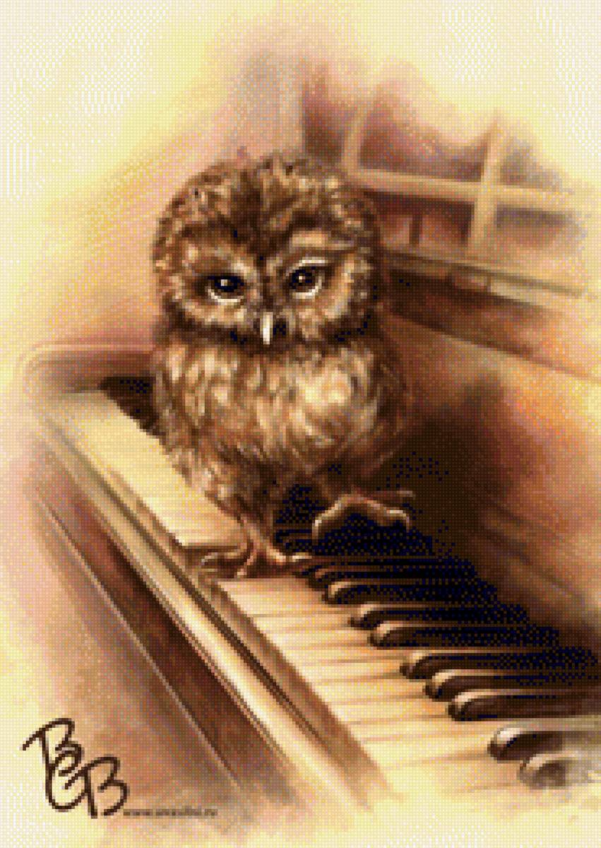 Mocho - animais - предпросмотр