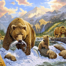 медведи