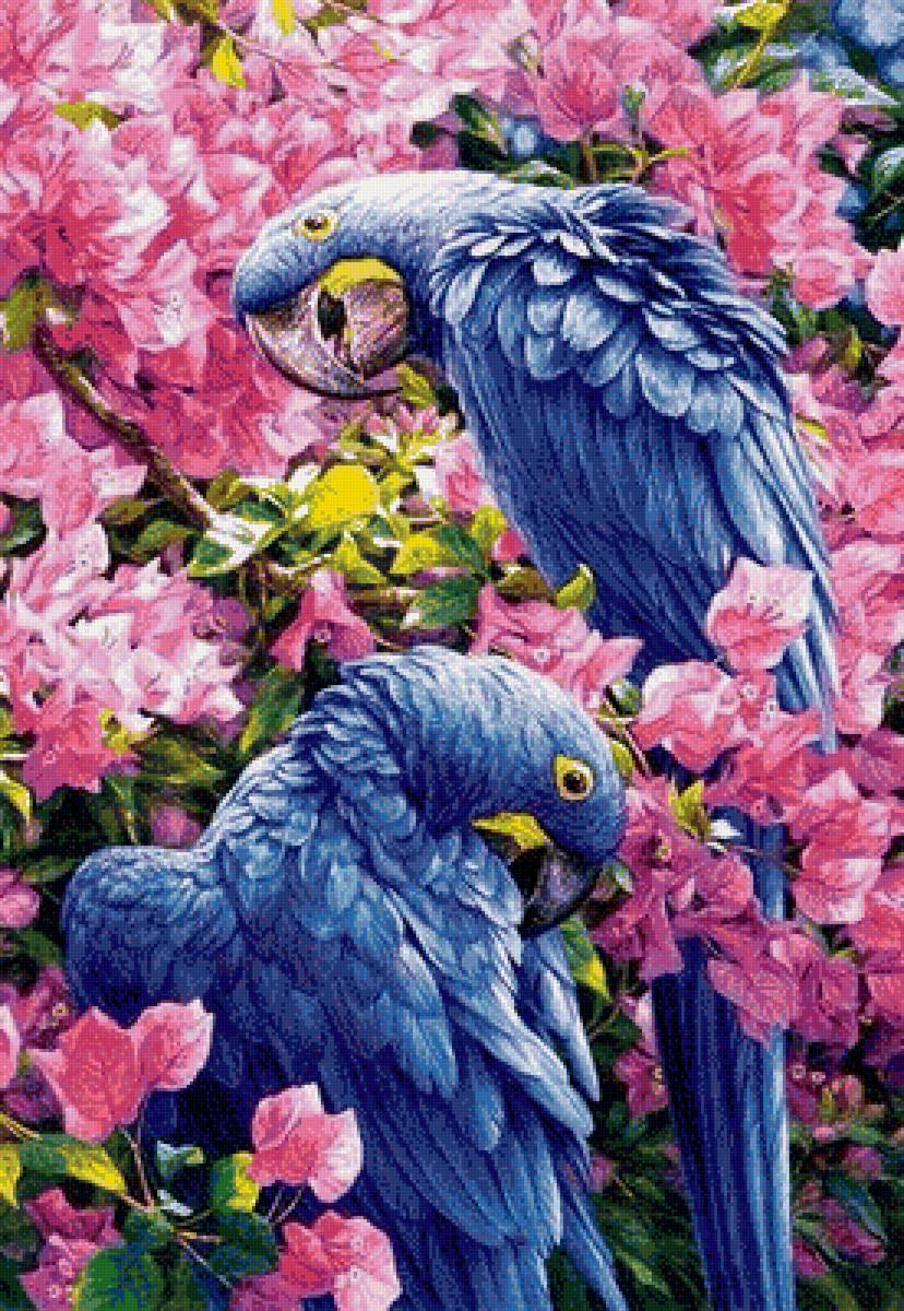 подушка-попугаи - птицы. цветы - предпросмотр