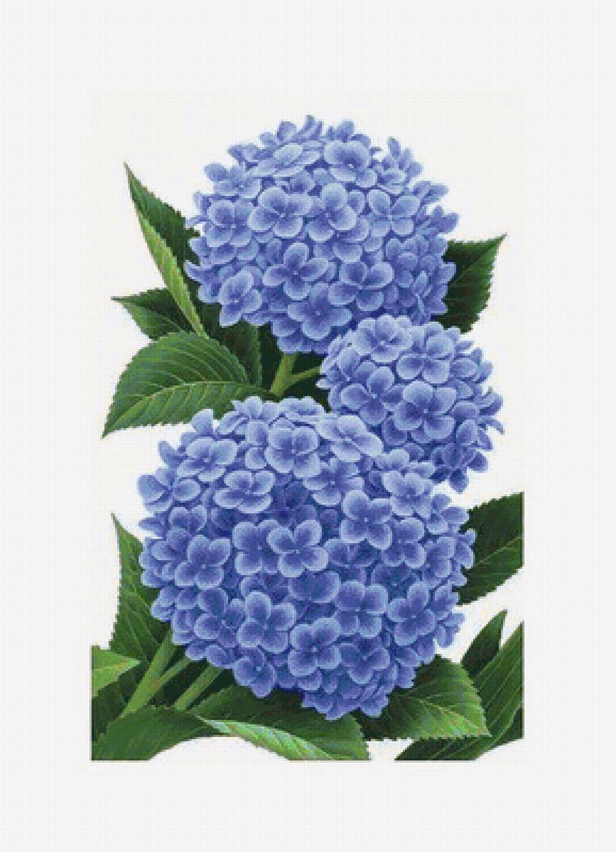 №1655008 - предпросмотр